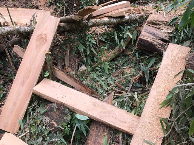 Một số hình ảnh hiện trường do lâm tặc để lại