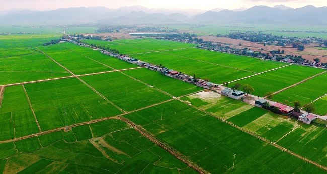 Cánh đồng Mường Thanh sau cơn mưa rào.