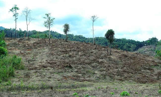 Dân di cư 