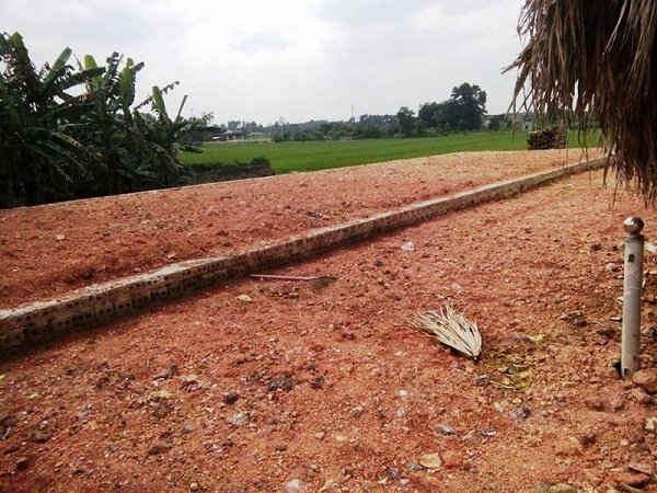 Anh Hà Văn Hoàng đã san lấp đất nông nghiệp trái phép để mở rộng khuôn viên quán cà phê.