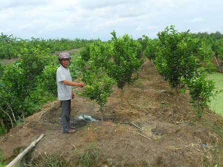 Ông Bùi Thanh Thu bên phần đất đang yêu cầu hợp thức hóa quyền sử dụng đất.