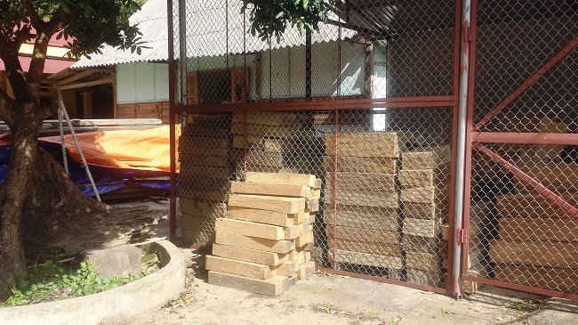 Gỗ Pơ mu được lực lượng Kiểm lâm Trạm Tấu thu giữ trong thời gian vừa qua