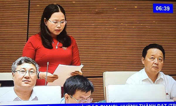 ĐBQH Lê Thị Yến phát biểu tại Hội trường chiều 9/6. Ảnh chụp qua màn hình. Ảnh: Việt Hùng
