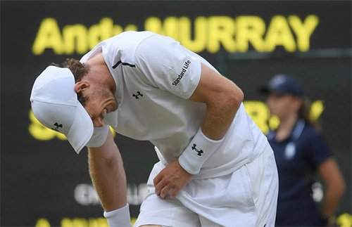 Murray trở thành cựu vô địch Wilbelendon