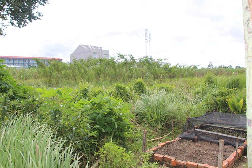 Năm 2011, chính quyền thành phố Cần Thơ cấp giấy CNQSD, thửa 2894 diện tích 4.750m2 đất ở đô thị cho Cty Thiên Lộc nhưng đến nay thì trên thực tế vẫn còn khoảng 1.500m2 vẫn đang thuộc quyền sử dụng theo giấy CNQSD riêng của người dân mà Cty Thiên Lộc vẫn chưa bồi thường, giải phóng mặt bằng.