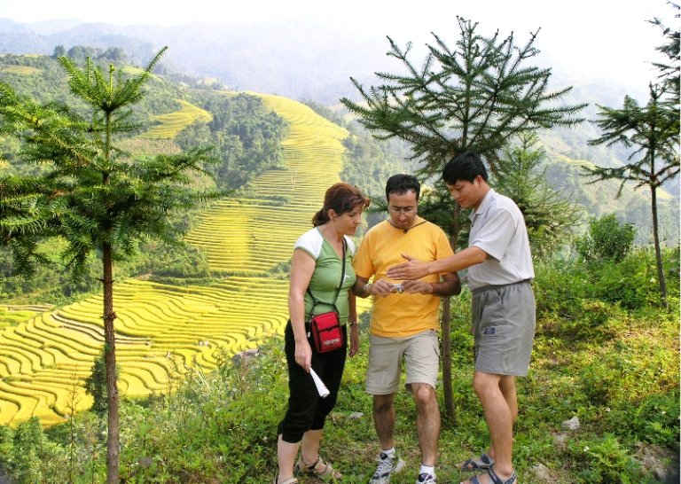 Khách du lịch thăm quan ruộng bậc thang Sa Pa mùa lúa chín đẹp như tranh vẽ.