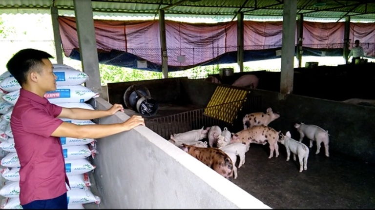 Bùi Đức Tuyển đang kiểm tra chuồng trại
