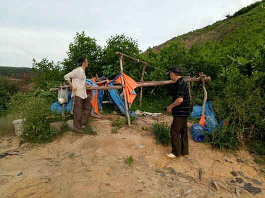 Lán trại của “lâm tặc”