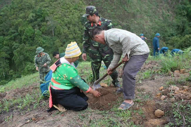 Ảnh minh họa