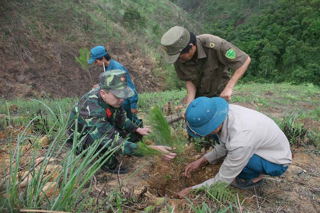 Ảnh minh họa