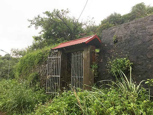 Một hộ gia đình xây nhà phía trên rừng thông với cổng vào hoành tráng.