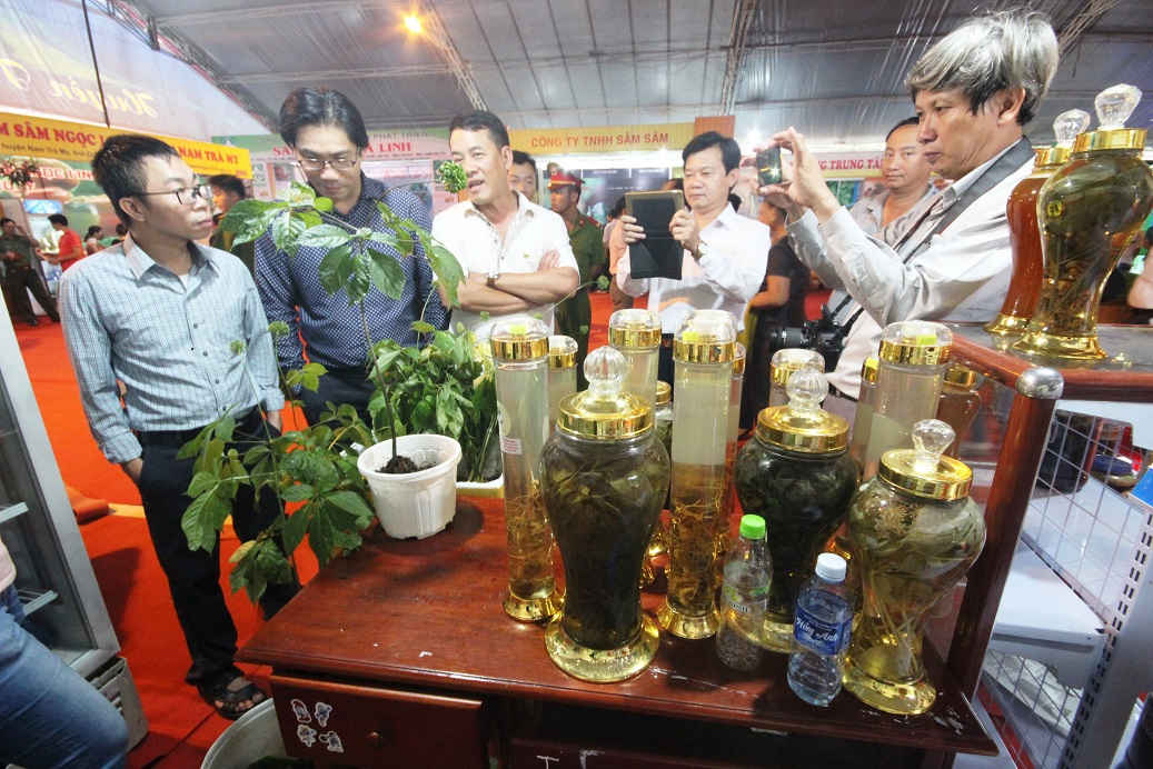 Một lễ hội sâm Ngọc Linh ở huyện Nam Trà My