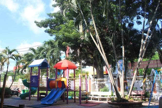 Trường mầm non quận 11 có cơ sở vật chất đồng bộ và môi trường trong lành với nhiều cây xanh