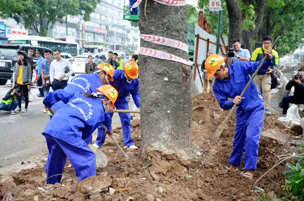Theo đó, điểm đầu: Km0+000 (Ngã tư Mai Dịch), điểm cuối: Km5+500 (cầu Thăng Long); chiều rộng nền đường Bn=56- 93m; với các hạng mục nền, mặt đường, hào kỹ thuật, thoát nước, chiếu sáng, cây xanh; vỉa hè; tổ chức giao thông; cầu đi bộ và các công trình phụ trợ khác.