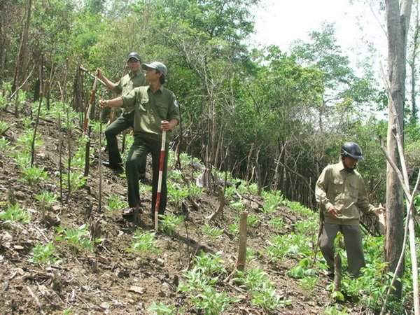 Tăng cường quản lý đất nông, lâm trường