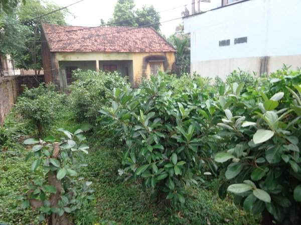 Ngôi nhà cấp 4 cùng mảnh đất hơn 200m2 được gia đình ông Nguyễn Kiếm Ba sử dụng ổn định hơn 20 năm nay