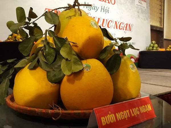 Bười ngọt Lục Ngạn
