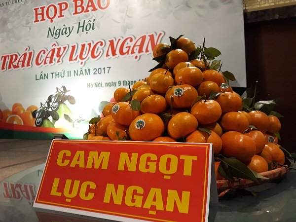 Cam ngọt Lục Ngạn.