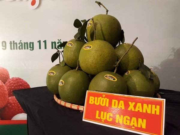 Bưởi da xanh Lục Ngạn
