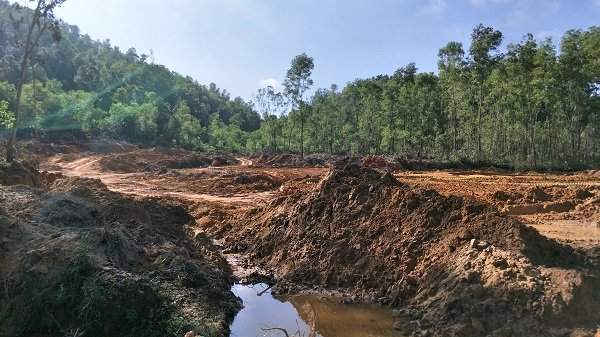 Quặng tặc 