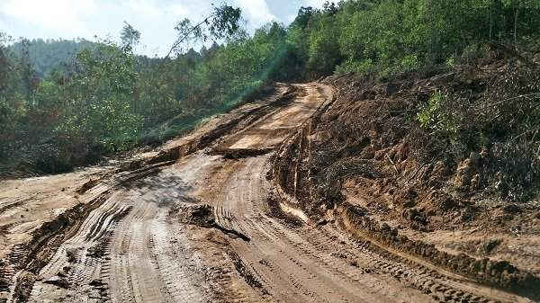 Những vết xe hằn sâu, chứng tỏ quặng tặc vẫn hoành hành