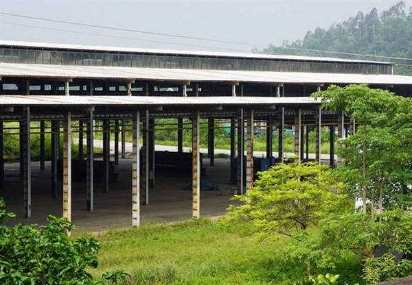 Ảnh: Việt Khánh