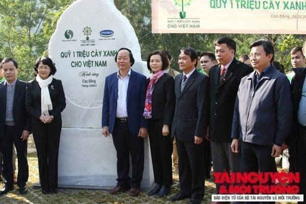 PCT DangNgocThinh 1