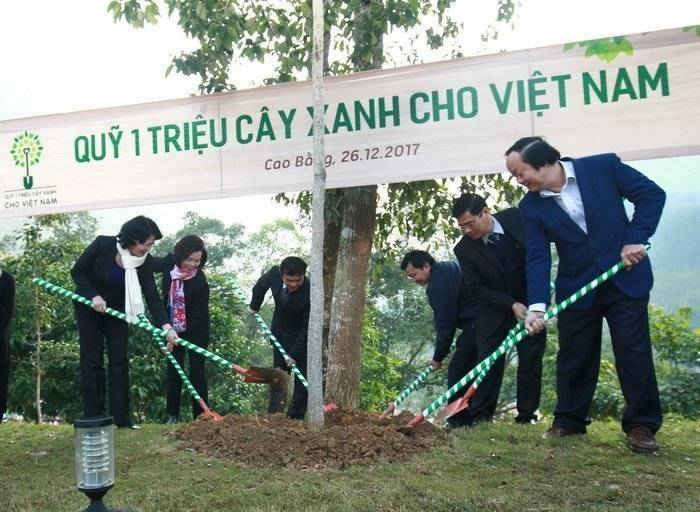 Trong cay xanh