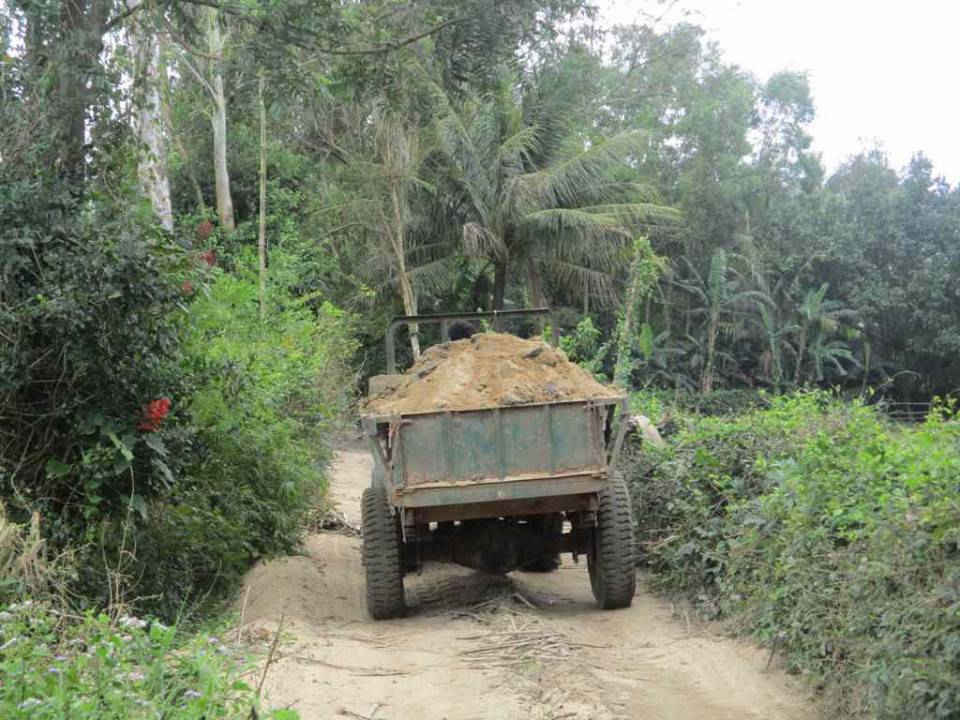 Xe công nông ngang nhiên chở cát ra vào khu vực bãi cát Trường Kinh, thôn Tân Xuân, xã Cát Hanh