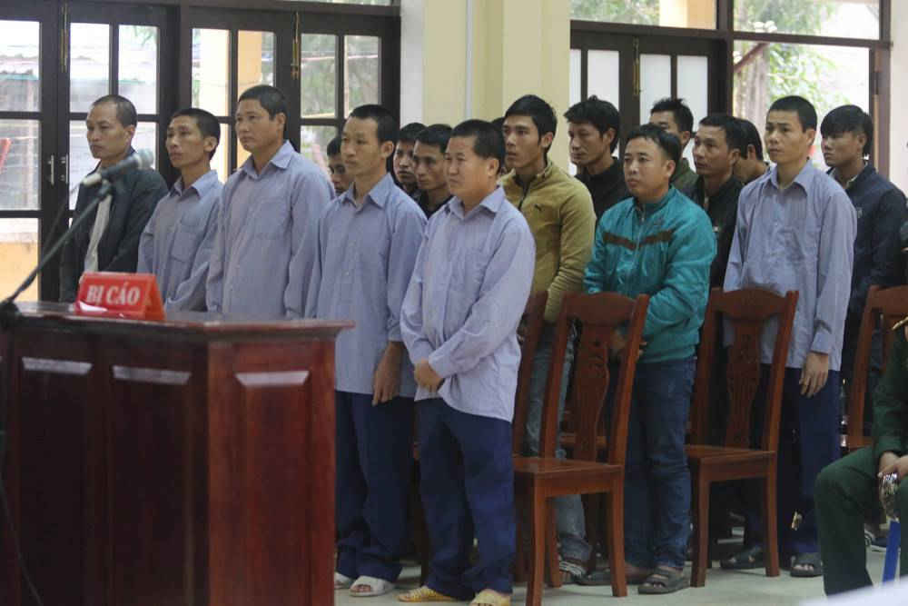 Các bị cáo tại phiên tòa xét xử “Vi phạm quy định về quản lý, bảo vệ rừng”