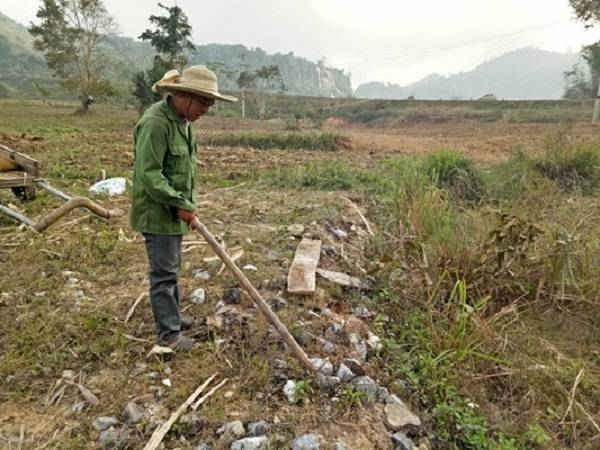 Anh Trương Văn Đoàn chỉ vùng đất canh tác có nhiều đá cục trôi từ mỏ đá Thung Mây xuống