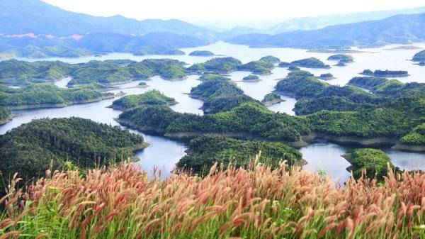 images1428380 2
