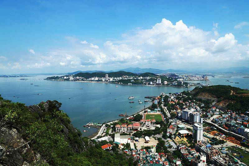 qninh