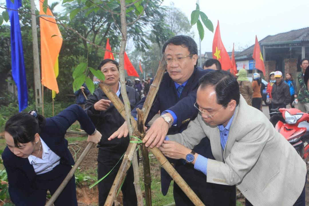 Anh 4