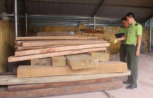 Tình trạng phá rừng Mường Nhé tiếp tục diễn biến phức tạp