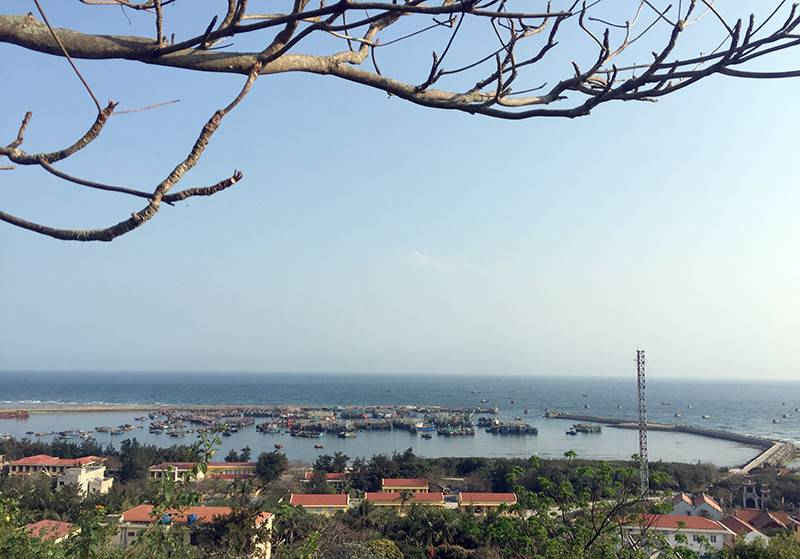 Một góc BLV