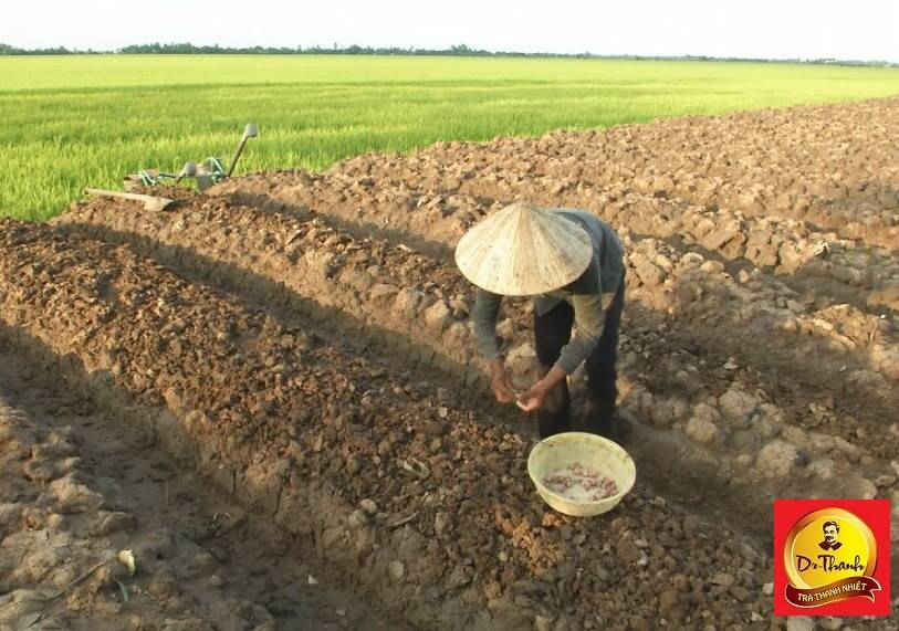 Một mình chị Hiền phải gánh vác cả gia đình