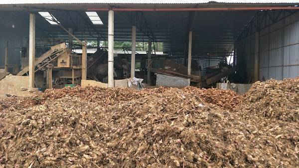 Xưởng sản xuất tinh bột dong và sắn của hộ gia đình ông Đoàn Văn Tùng