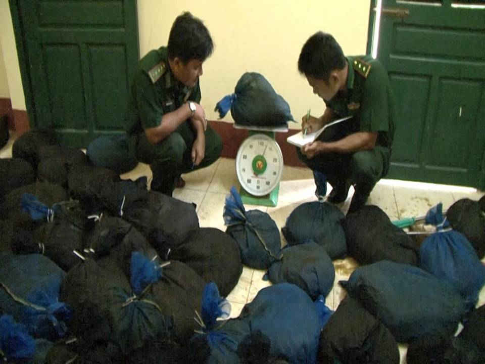 A 6 Lực lượng biên phòng kiểm đến số tê tê Java để bàn giao cho cơ quan Công an