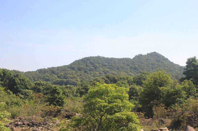Anh 5 (8)