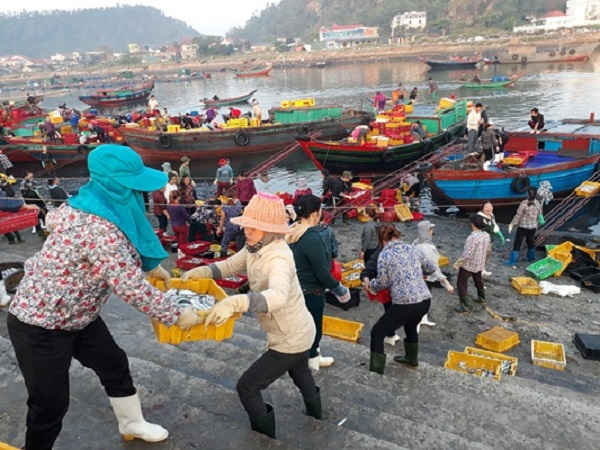 Hải sản nhanh chóng được đưa lên bờ