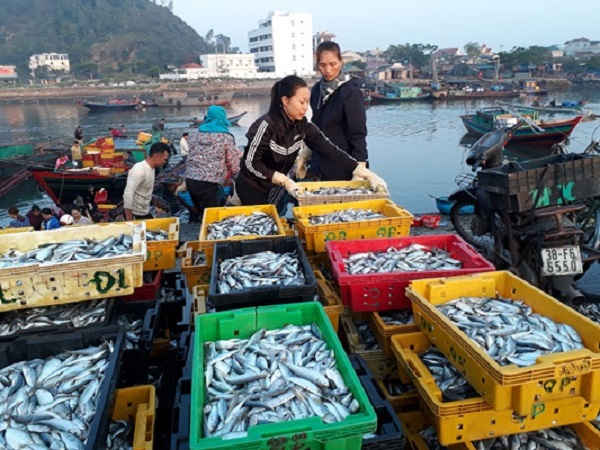 Tập kết để bán cho tiểu thương