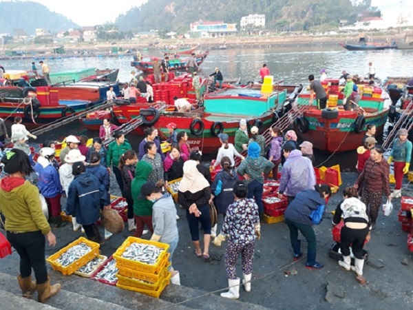 Không khí rất khẩn trương, náo nhiệt
