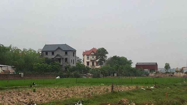 sai pham o xa Xuan Thu 1