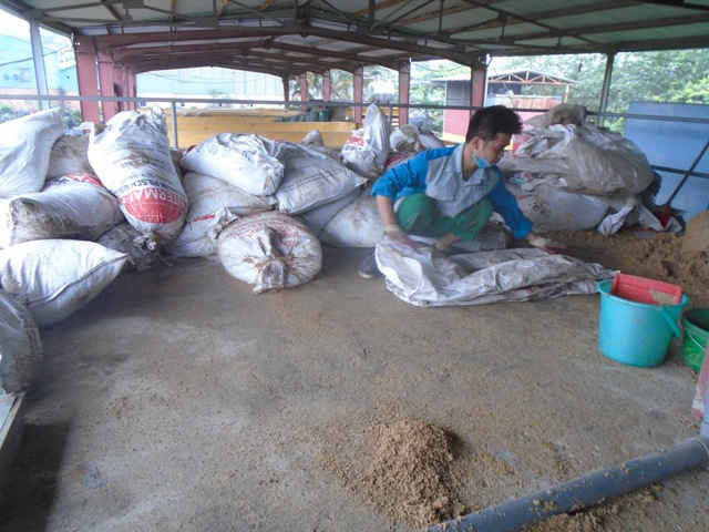 Công nhân Công ty môi trường đô thị Hà Nội đang cấy