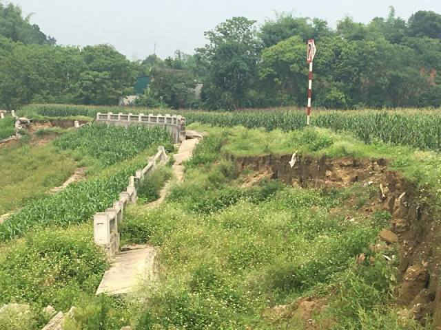 Tuyên Quang: Bờ kè sông Lô sạt lở ai chịu trách nhiệm?