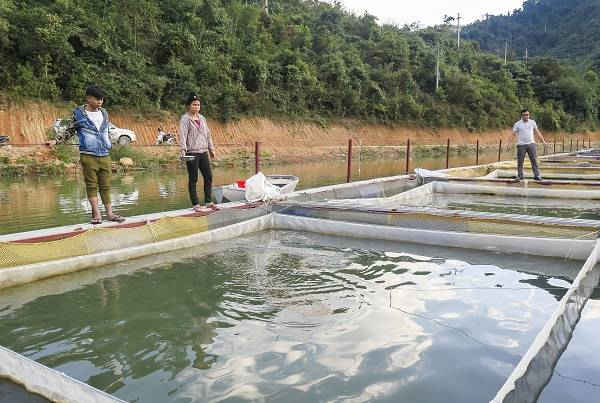 Nuôi cá lồng bè tại huyện Điện Biên