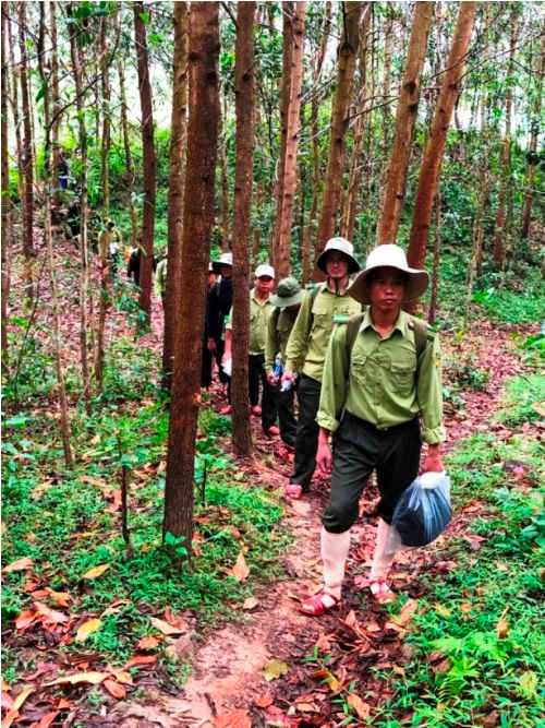 Lực lượng kiểm lâm tuần tra, bảo vệ rừng