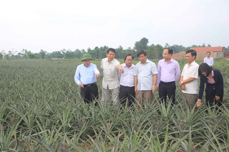 Anh 2 (2) (3)
