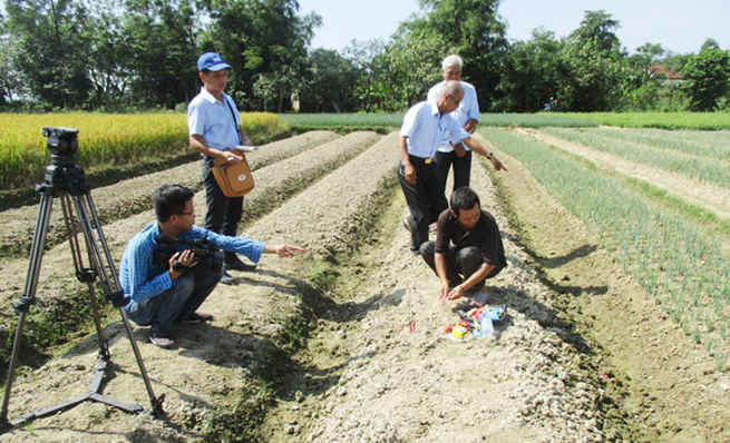 Hiện trường nơi chị P. bị sét đánh
